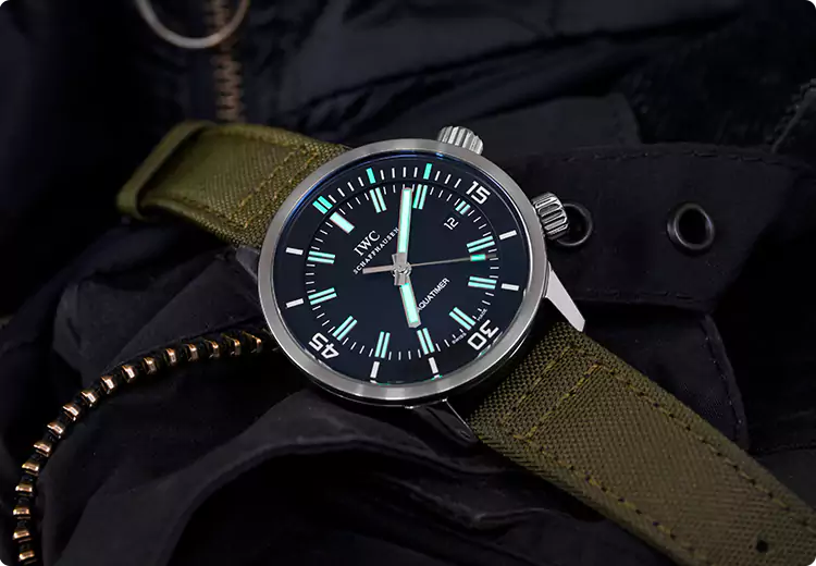 Professional Watch Appraisal in Delta, BC