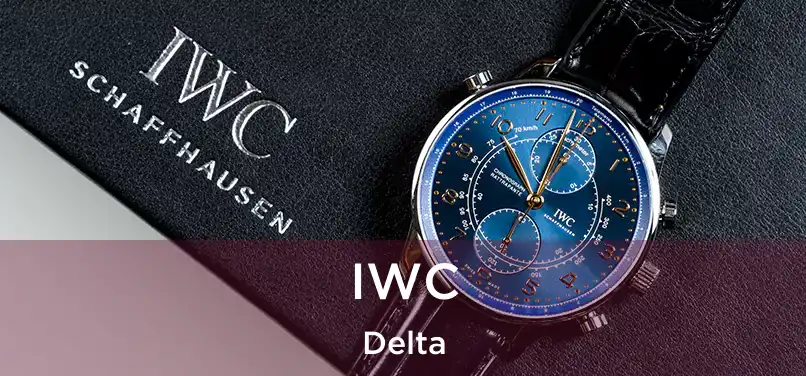  IWC Delta