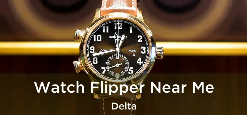  Watch Flipper Near Me Delta